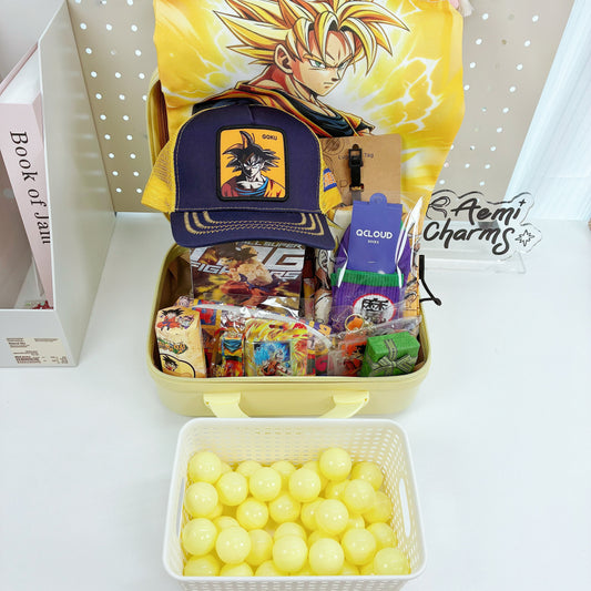 Boîte cadeau mystère de valise DB 14 pouces