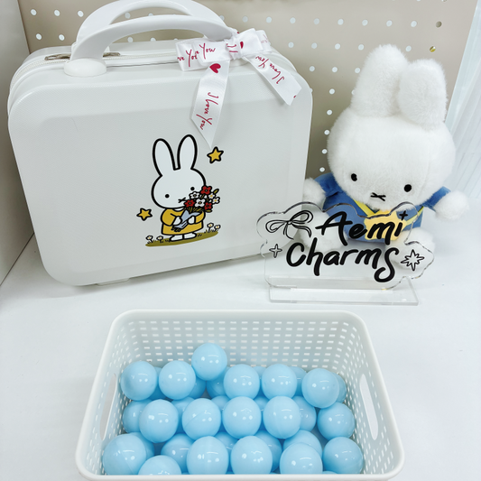 Boîte Mystère Valise MF 14 Pouces