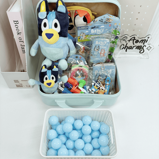 BL Coffret Cadeau Mystère Valise 14 Pouces