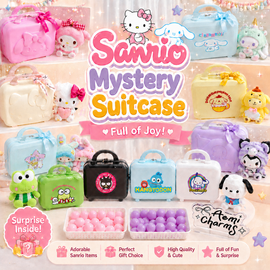 Coffret Cadeau Mystère Valise SA 14 Pouces